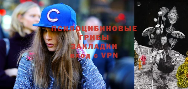 мескалин Богородск