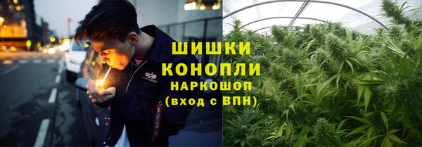 мдпв Струнино