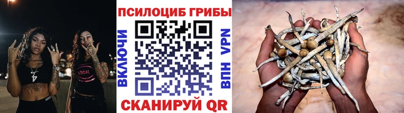 Псилоцибиновые грибы MAGIC MUSHROOMS  мориарти телеграм  Велиж  купить  цена 